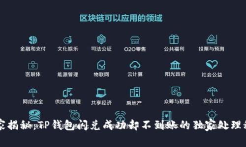 专家揭秘：TP钱包闪兑成功却不到账的独家处理秘诀