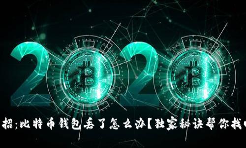 专家支招：比特币钱包丢了怎么办？独家秘诀帮你找回资产!