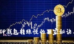 专家揭秘：TP钱包转账慢的