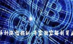 TP钱包币种涨幅揭秘：专家