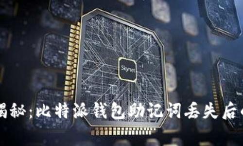 专家独家揭秘：比特派钱包助记词丢失后的应对秘诀