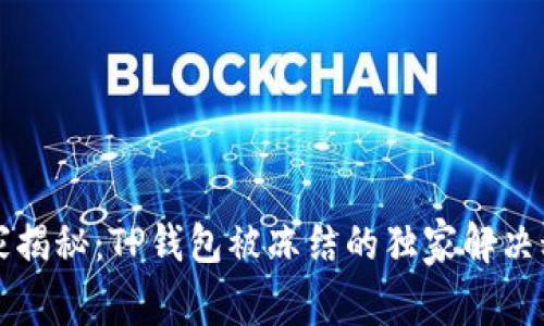 专家揭秘：TP钱包被冻结的独家解决秘诀