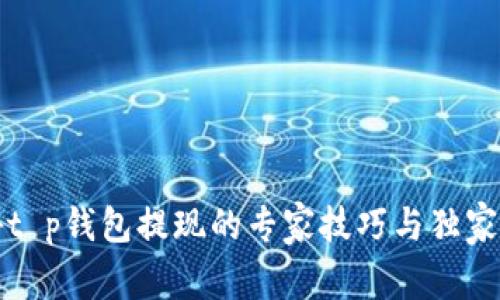 揭秘t p钱包提现的专家技巧与独家秘诀