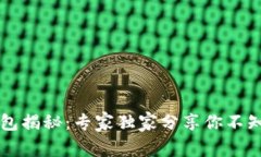 虚拟币钱包揭秘：专家独