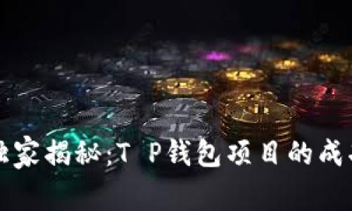 专家独家揭秘：T P钱包项目的成功秘诀