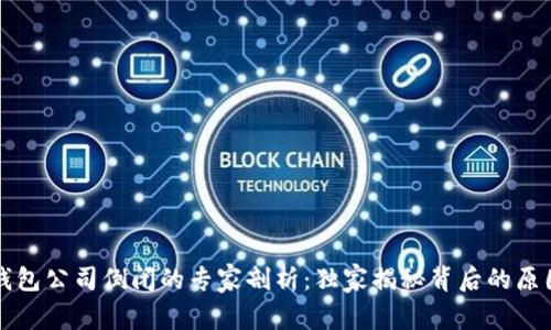 比特币钱包公司倒闭的专家剖析：独家揭秘背后的原因和秘诀