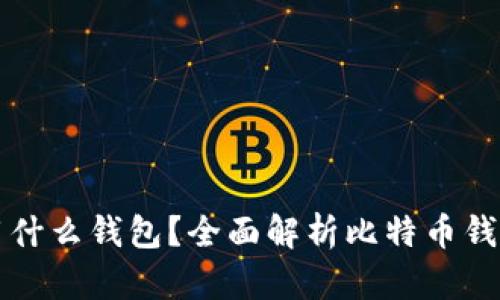 网络比特币交易用什么钱包？全面解析比特币钱包的类型与安全性